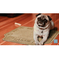Paws & Bones Drool Hog Indoor / Outdoor Logo Pet Mat